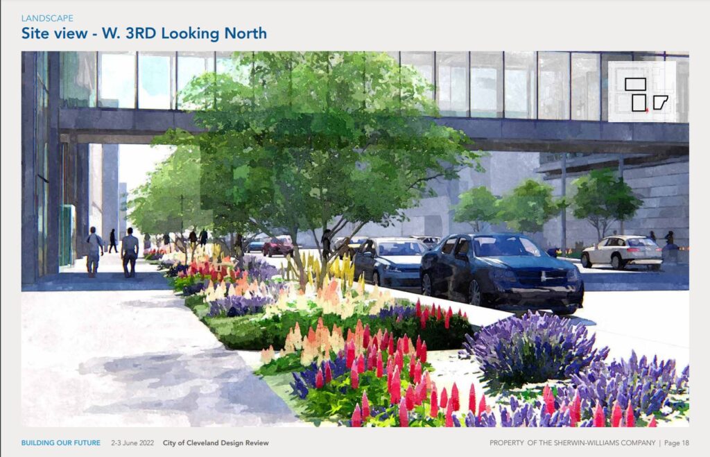 Using flowers and trees to separate West Third Street's sidewalk from those nasty cars.