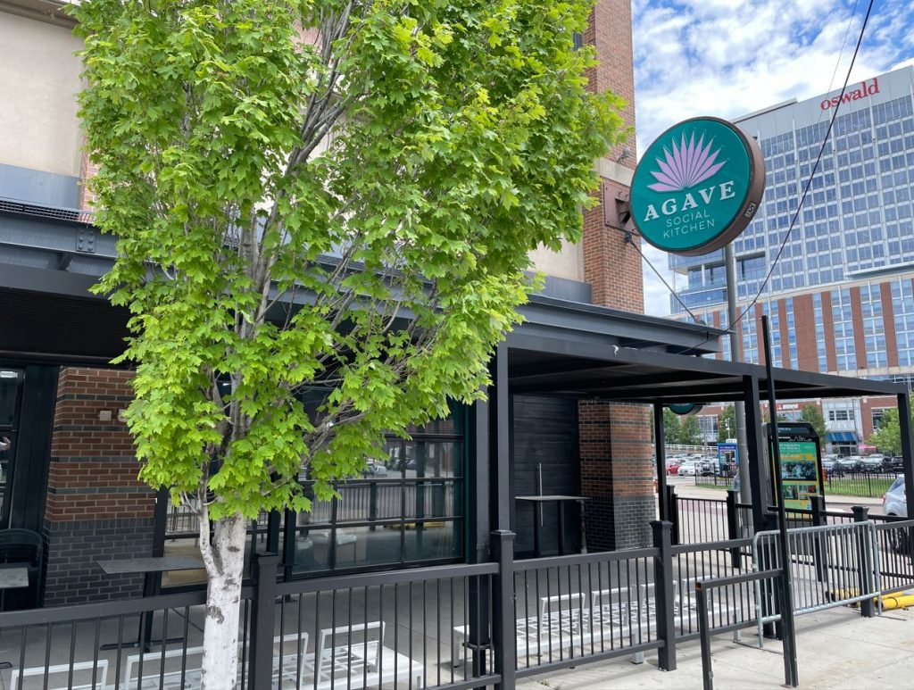 Agave_Social_0615